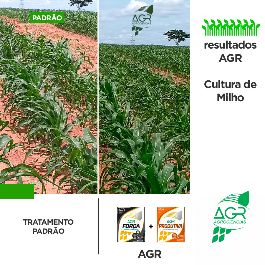2ec1c476-af58-4967-8f66-f5e18a278107