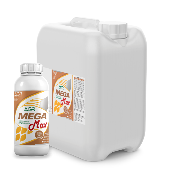 AGR_MegaMax_1e20