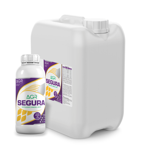 AGR_segura_1e20